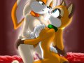 toon_1239881541639_297615_-_Cream_the_Rabbit_DrXII_Marine_The_Raccoon_Sonic_Team_Vkyrie.jpg